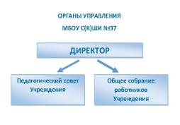 Органы управления МБОУ С(К)ШИ №37